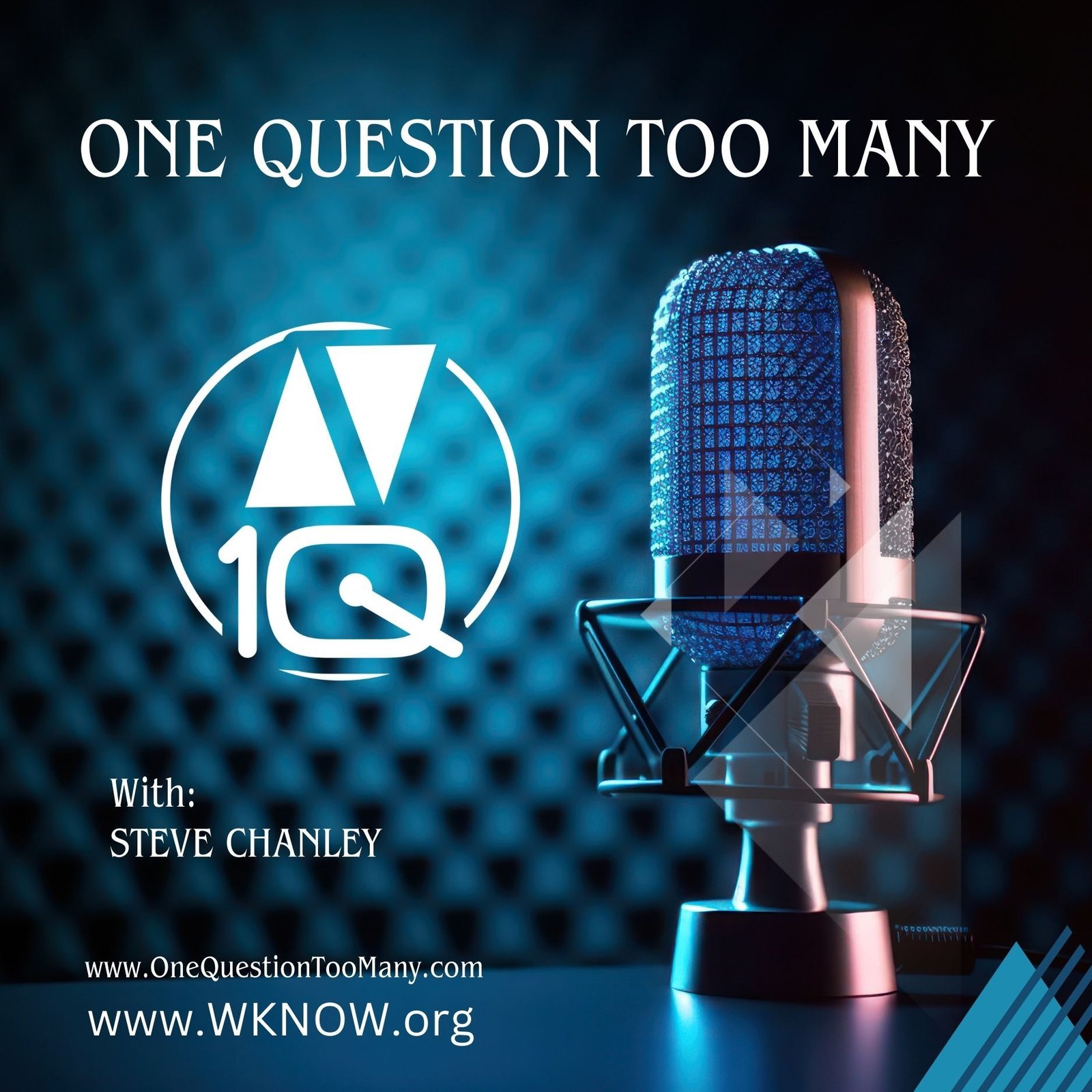 One Question Too Many Podcast podcast artwork